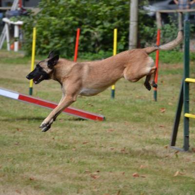 Agility