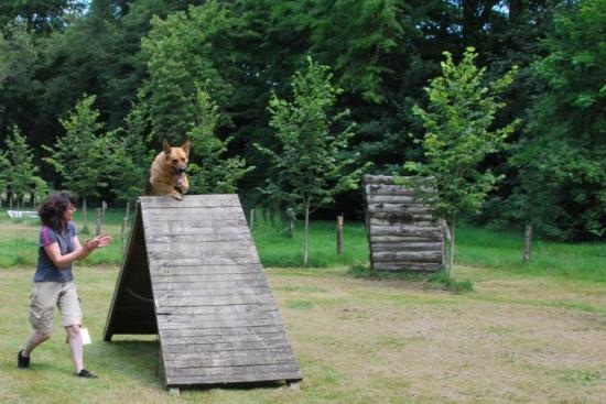 photo dermonstration agility