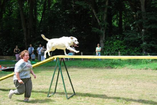 photo dermonstration agility