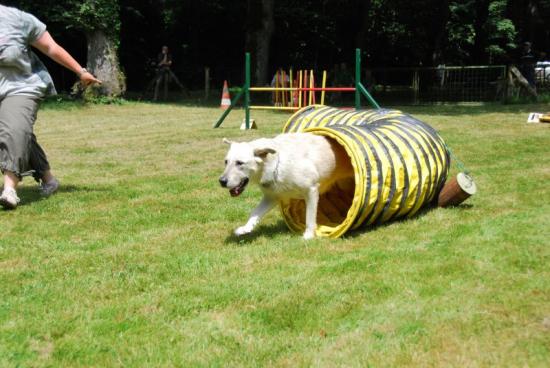 photo dermonstration agility