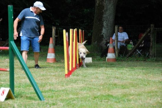 photo dermonstration agility