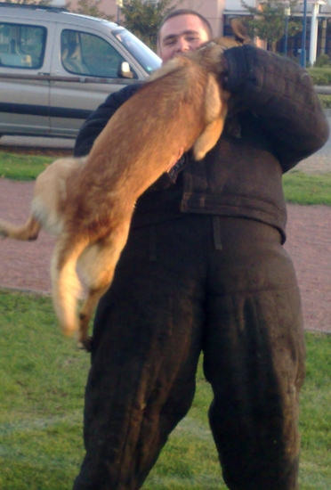 l'homme et le chien