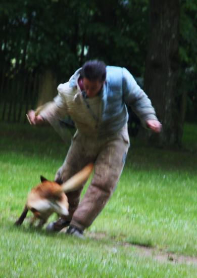 concours 2010
