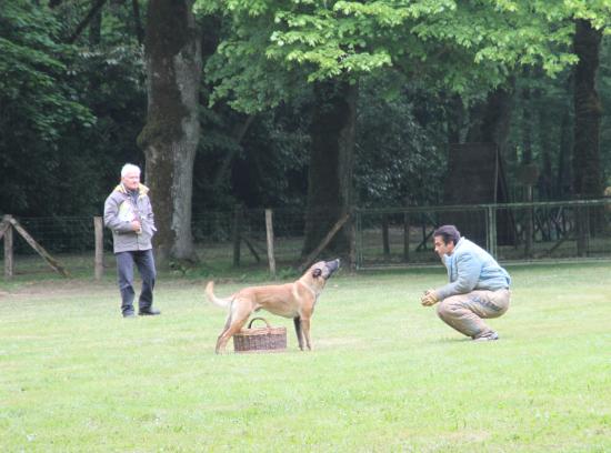 concours 2010