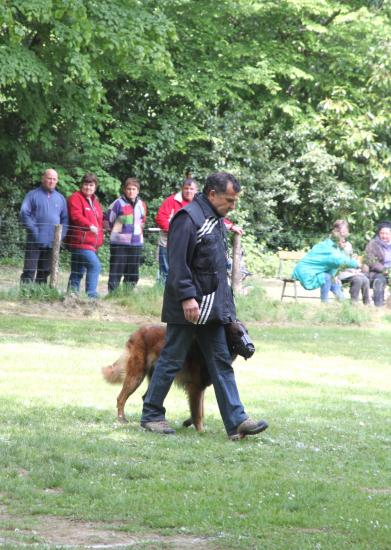 concours 2010