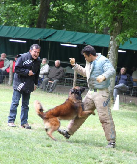 concours 2010