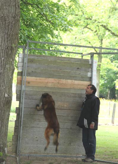 concours 2010