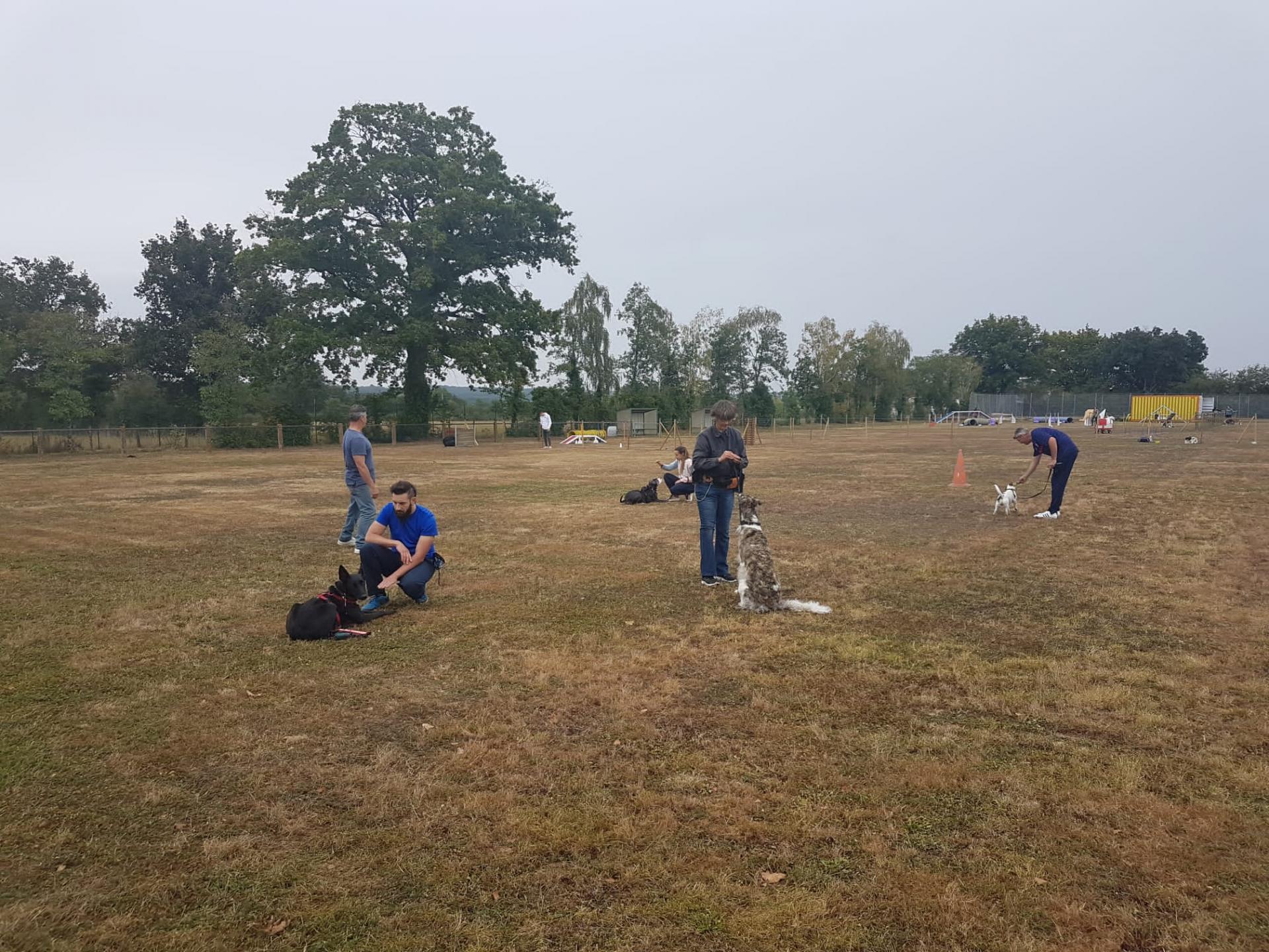 Photo 2021 09 25 16 31 15